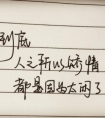 正能量句子摘抄:愿我三旬时，理想依然在，孤独别醒来