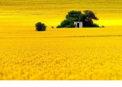 曾经的雨中同行,却早已成为了过眼云烟