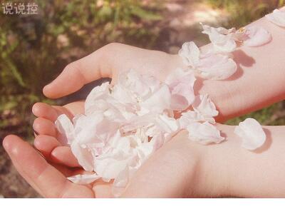 你的眼睛在下雨,却淋湿了我所有的骄傲