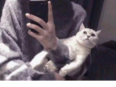 描写雪的诗句大全_忽如一夜春风来,千树万树梨花开