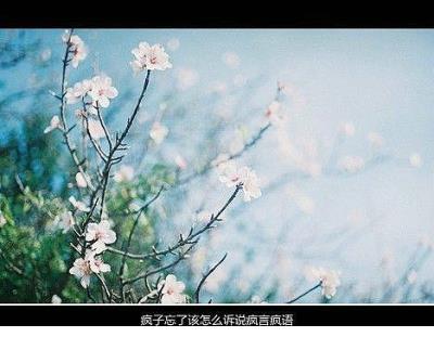 我好心累心情说说:时光飞逝,留下的只有迷茫