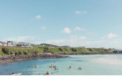 描写雪的诗句大全_忽如一夜春风来,千树万树梨花开