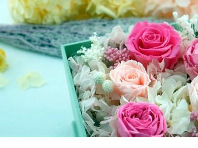 描写雪的诗句大全_忽如一夜春风来,千树万树梨花开