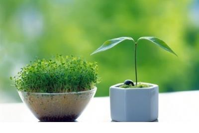 我好心累心情说说:时光飞逝,留下的只有迷茫