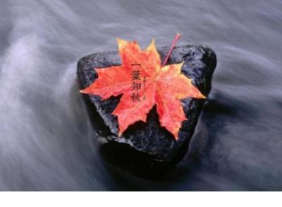 压抑的心情说说:爱不是施舍,是不能给予的