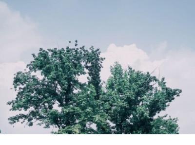 下雨天伤感的心情说说:雨,美丽的催人泪下的电影