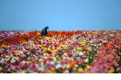 下雨天的心情说说短语_不管别人怎么说,我觉得我是对的