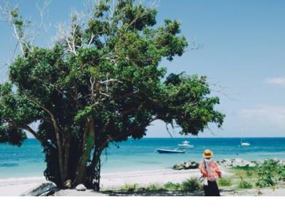 很痛的QQ说说短语 是谁的眼泪,模糊了画面