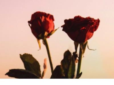 无聊的心情不好的说说:只要你认为你已经死了