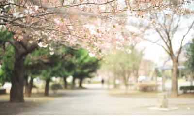 兄弟说说心里话_放走一个兄弟,不要放心