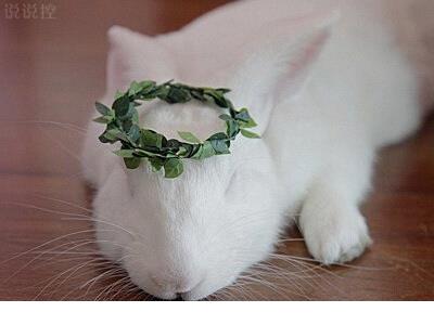 记忆浅了,话题短了,最后我们沉默了