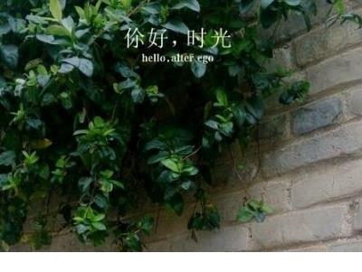 我好心累心情说说:时光飞逝,留下的只有迷茫