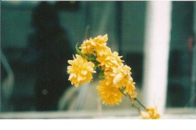 当坚强成为你唯一的选择,你才知道自己可以有多坚强