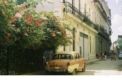 描写雪的诗句大全_忽如一夜春风来,千树万树梨花开