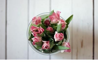 好兄弟,要么一辈子、要么就一杯子