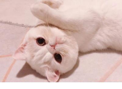 2019最新的心情不好的说说:可以边吃边哭,可以生存