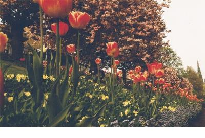 有关闺蜜的句子 闺蜜就是,当她睡不着的时候,你也甭想睡