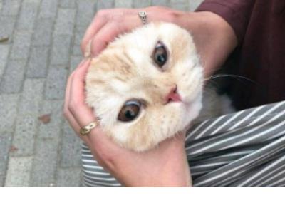 下雨天的心情说说短语_不管别人怎么说,我觉得我是对的