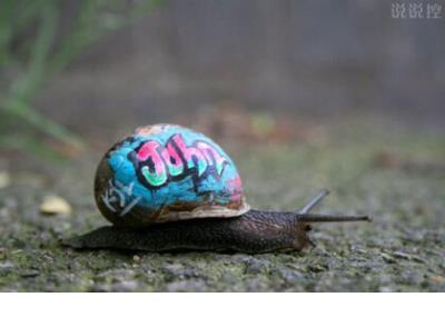 关于雨的唯美句子_顺其自然吧,何必自寻烦恼