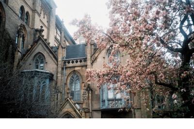 下雨天的心情说说短语_不管别人怎么说,我觉得我是对的