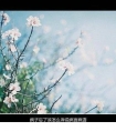 下雨感慨抖音句子_等你是我一生的追求
