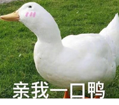 最好的年华要给最好的人,我们已经错过了