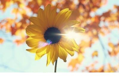 致兄弟的一句话:天若恋天也老,把我哥都放下来!