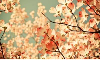 孤独失落的心情不好的说说:孤独的人会记住生活中的每一个人