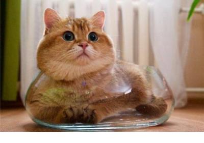 伤感的句子说说心情 平静的心灵,才是真正的奢侈品