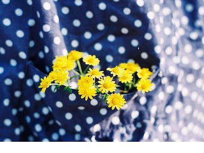 发表伤心说说的句子 就这样错过,干净美好,淡淡忧伤