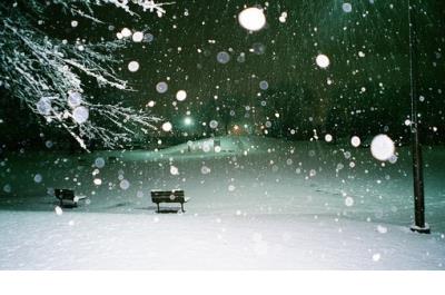 诗情画意的说说:世界上有这么多东西