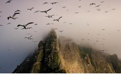 最新心情不好的说说:当我累了,我会远离他们