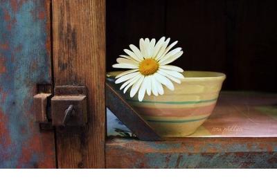 现在不努力,未来不给力