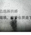 心痛到绝望窒息的说说:也许每个人都要经历心出肺的付出