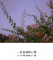 心情低落说说经典语句/他们仍然有在不同地方看日落的自由