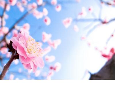 早上心情说说简单语