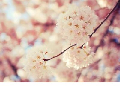 女生qq空间说说大全