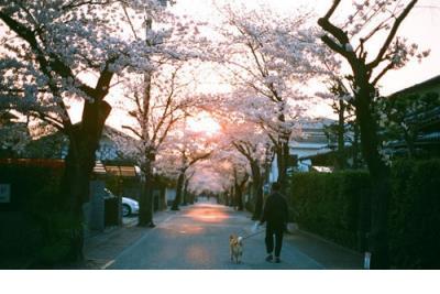 幽默的说说笑死人 幽默风趣的朋友圈说说