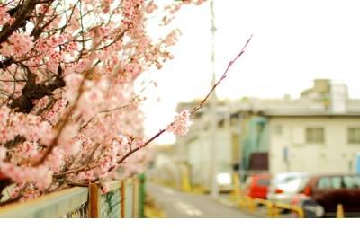 简单而走心的说说