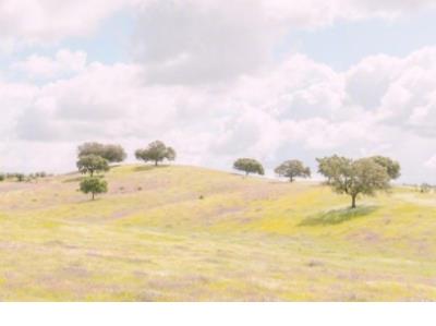 女生qq空间说说大全