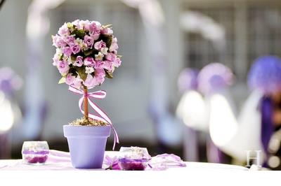 情话套路大全 最新情话套路