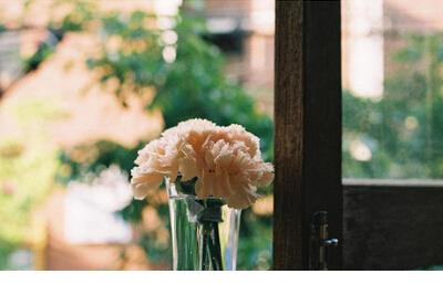 欺骗图片伤感说说 爱情伤感说说配图