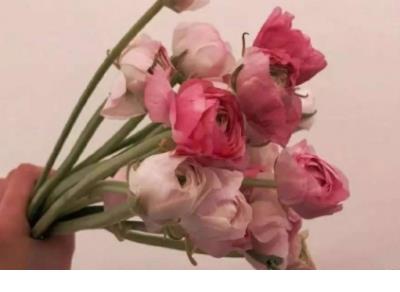 感动到哭的爱情句子简短