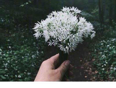 唯美励志语录心情随笔 唯美句子心情随笔