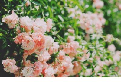 单恋伤感的说说 不是你冷漠无情,是我爱错了人