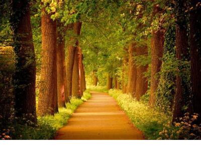 爱情伤感句子句句心痛 伤感句子表达心情失落