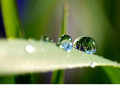 感人的短语爱情句子 美好的爱情短语句子