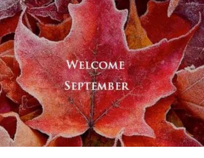 忧郁伤感说说 爱情伤感说说配图