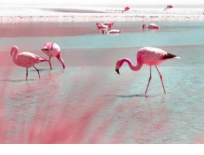 致兄弟的两段话霸气 致兄弟的一段话霸气