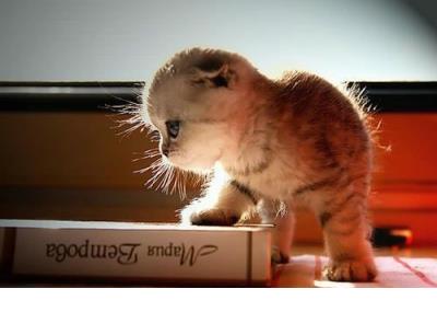 心情个性说说 个性说说心情句子大全